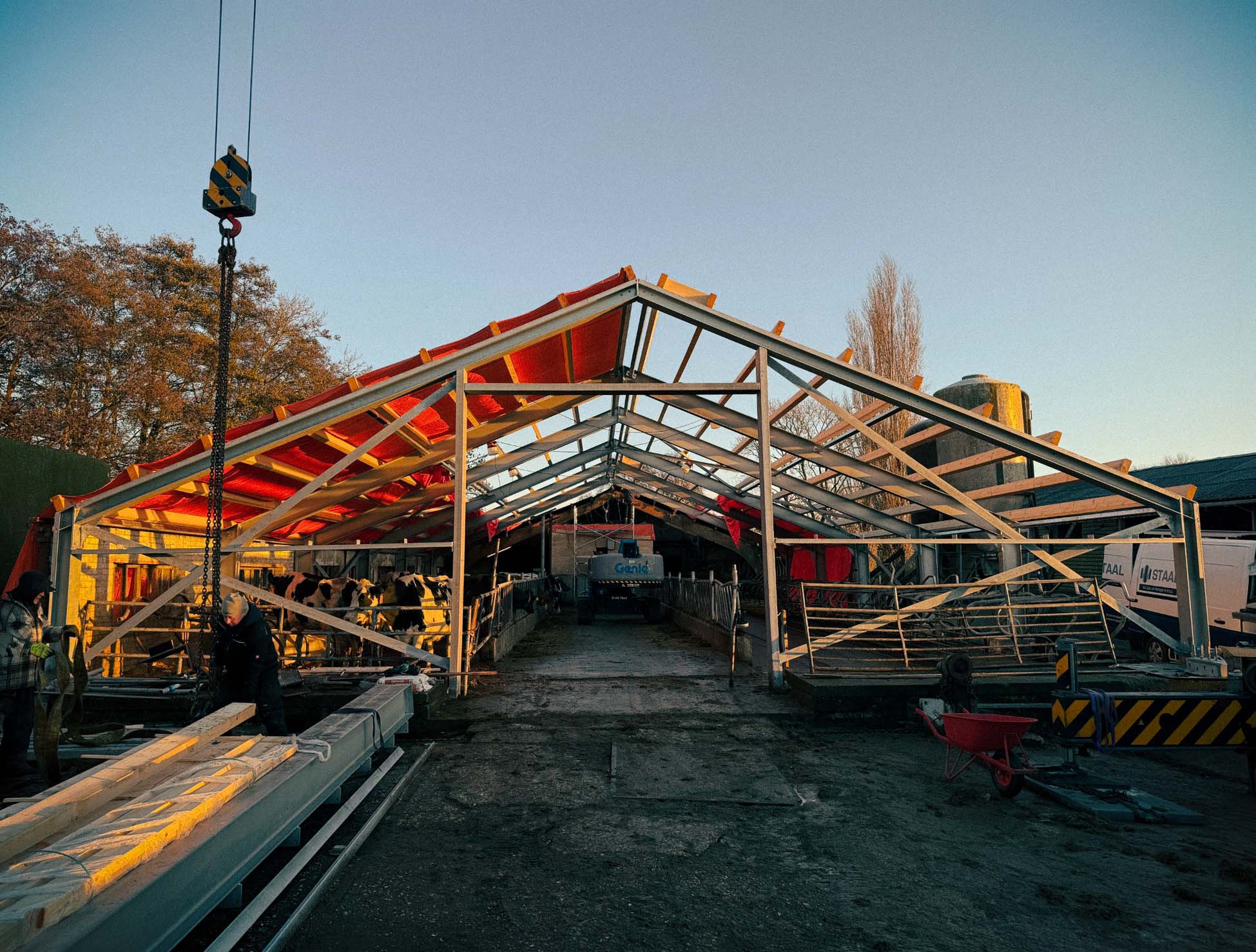Staalconstructie van de nieuwe koeienstal aan de Dijkweg in Muiden, tijdens de bouw